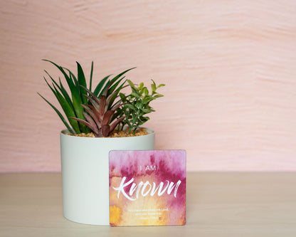 Affirmation Magnet Packs of 4 or Complete set of 12