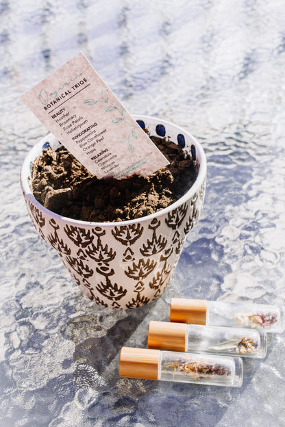 Botanical roller Trio with seed cards