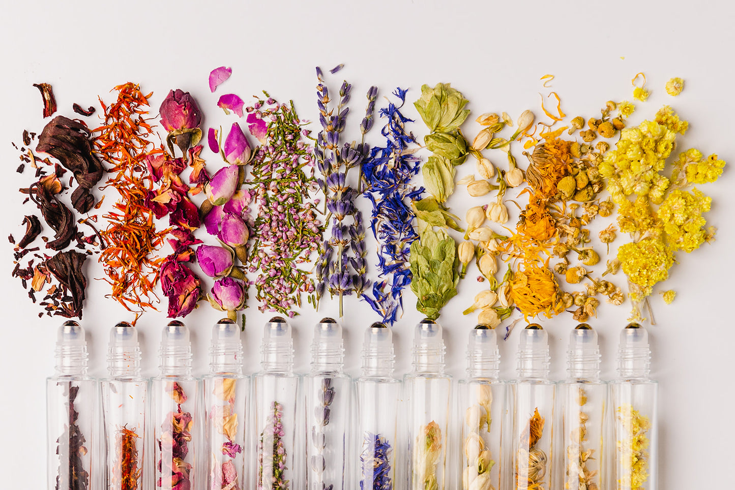 Botanical Roller Bottle Deluxe Collection – Organic Essential Oil Roller Kit (12 Pack Gift Set)